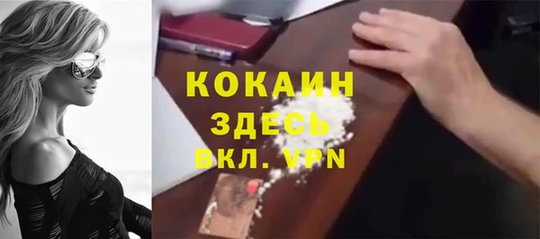 сатива Зерноград
