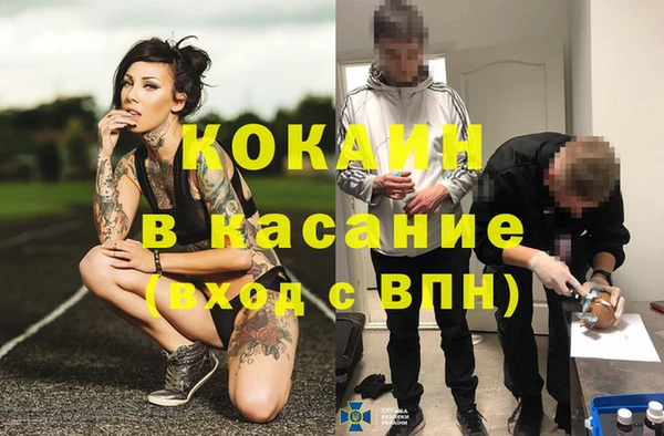 сатива Зерноград
