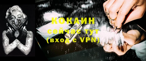 сатива Зерноград