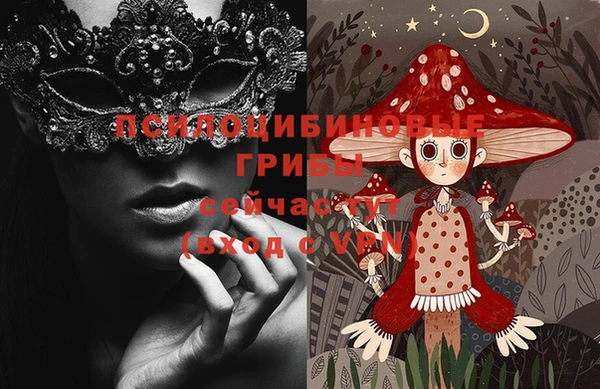 сатива Зерноград