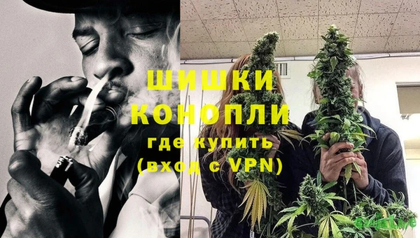 прущий лед Инсар