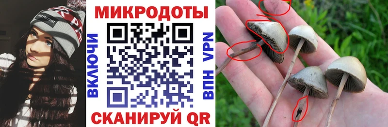 Купить  Калач-на-Дону  Галлюциногенные грибы мухоморы 